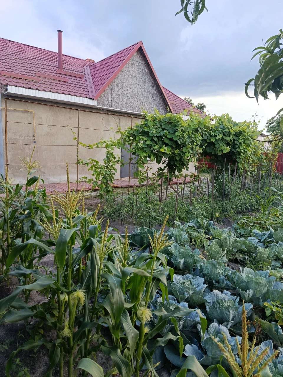 Продаємо будинок, Славута