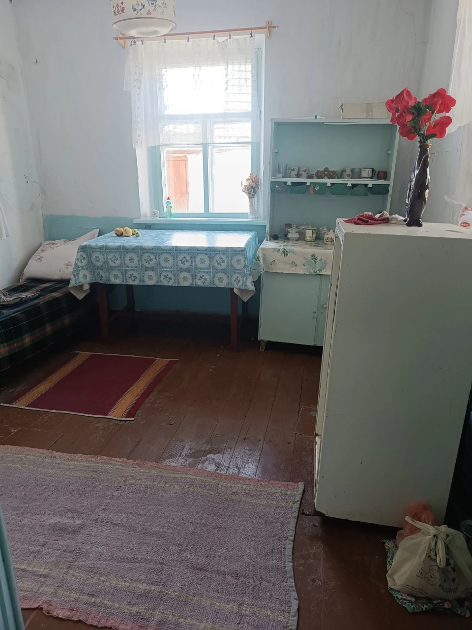 Будинок з приватизованими земельними ділянками