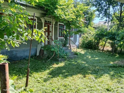 (5) Продам будинок в с. Михайлівка 8916
