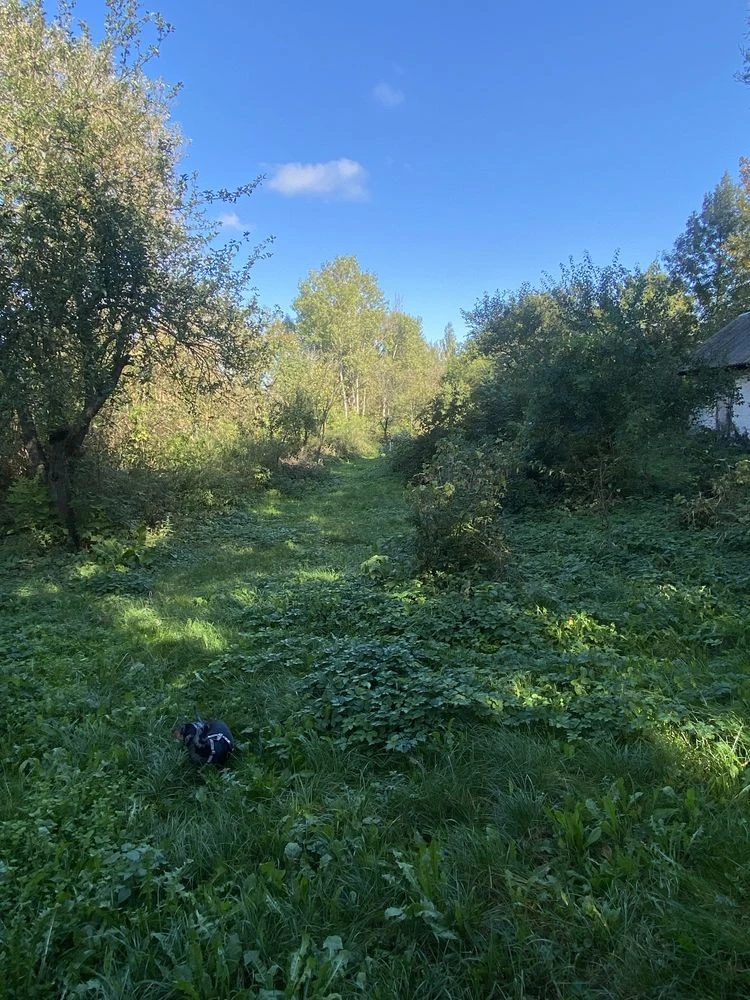 Земельна ділянка