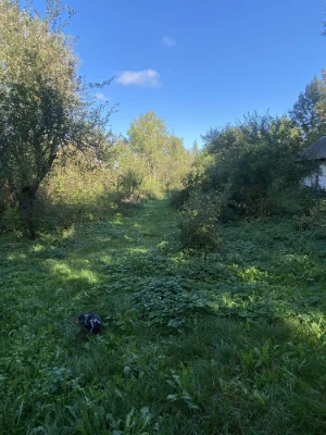 Земельна ділянка