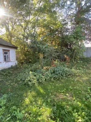 Земельна ділянка
