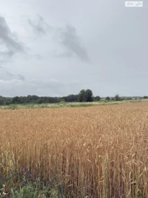 Продаж Ділянка під житлову забудову