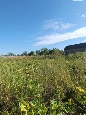 Продаж Ділянка під житлову забудову