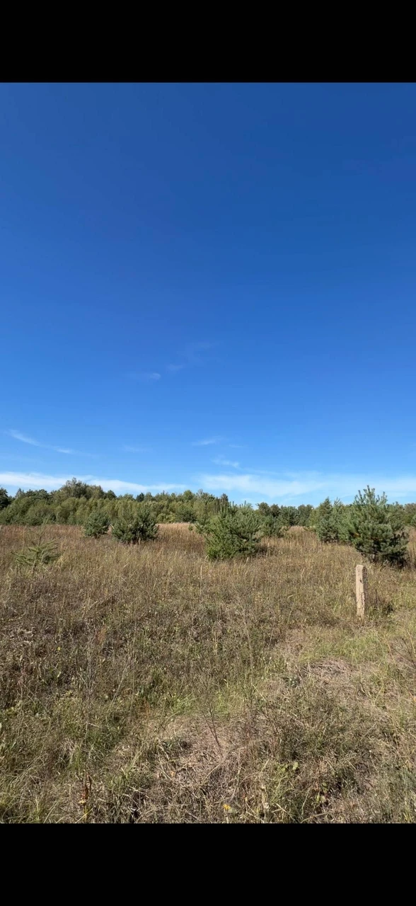 Земельна ділянка