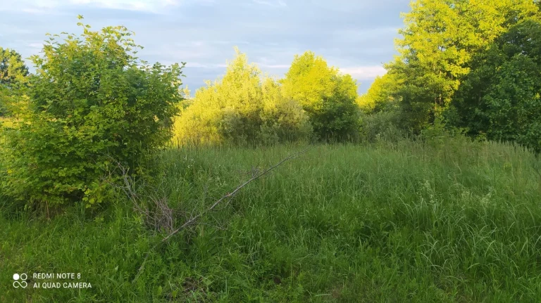 Продам дачні ділянки