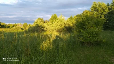 Продам дачні ділянки