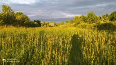 Продам дачні ділянки