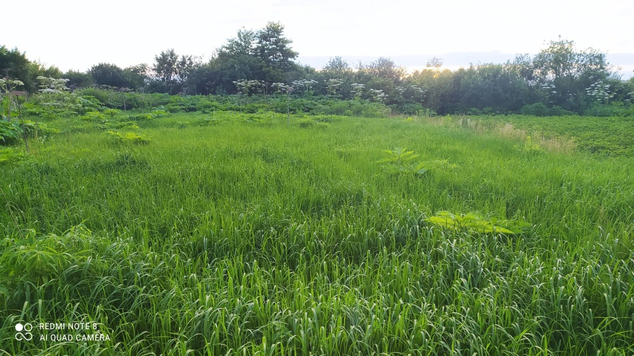 Продам дачні ділянки