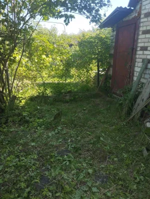 Продам дачу ділянку ,садівники масив 'Білий налив"