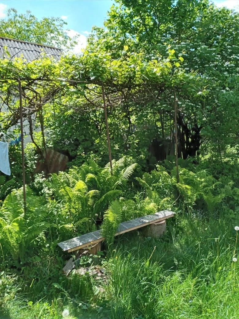 Продам дачу ділянку ,садівники масив 'Білий налив"