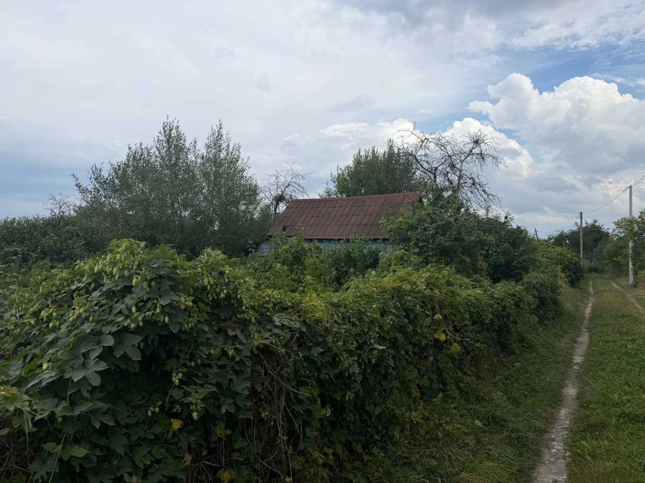 Ділянка в дачному масиві Дружба