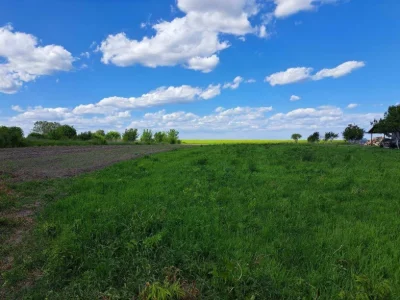 Продам земельну ділянку в селі Чекаси 7 км. від Ковеля