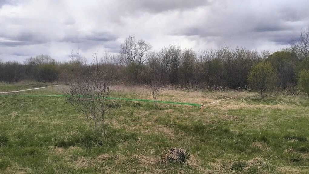 Земельна ділянка під забудову 0.0801 га Ковель вул Зоряна уч