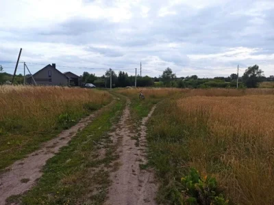 земельна ділянка, земля для будівництва, земля Любомль