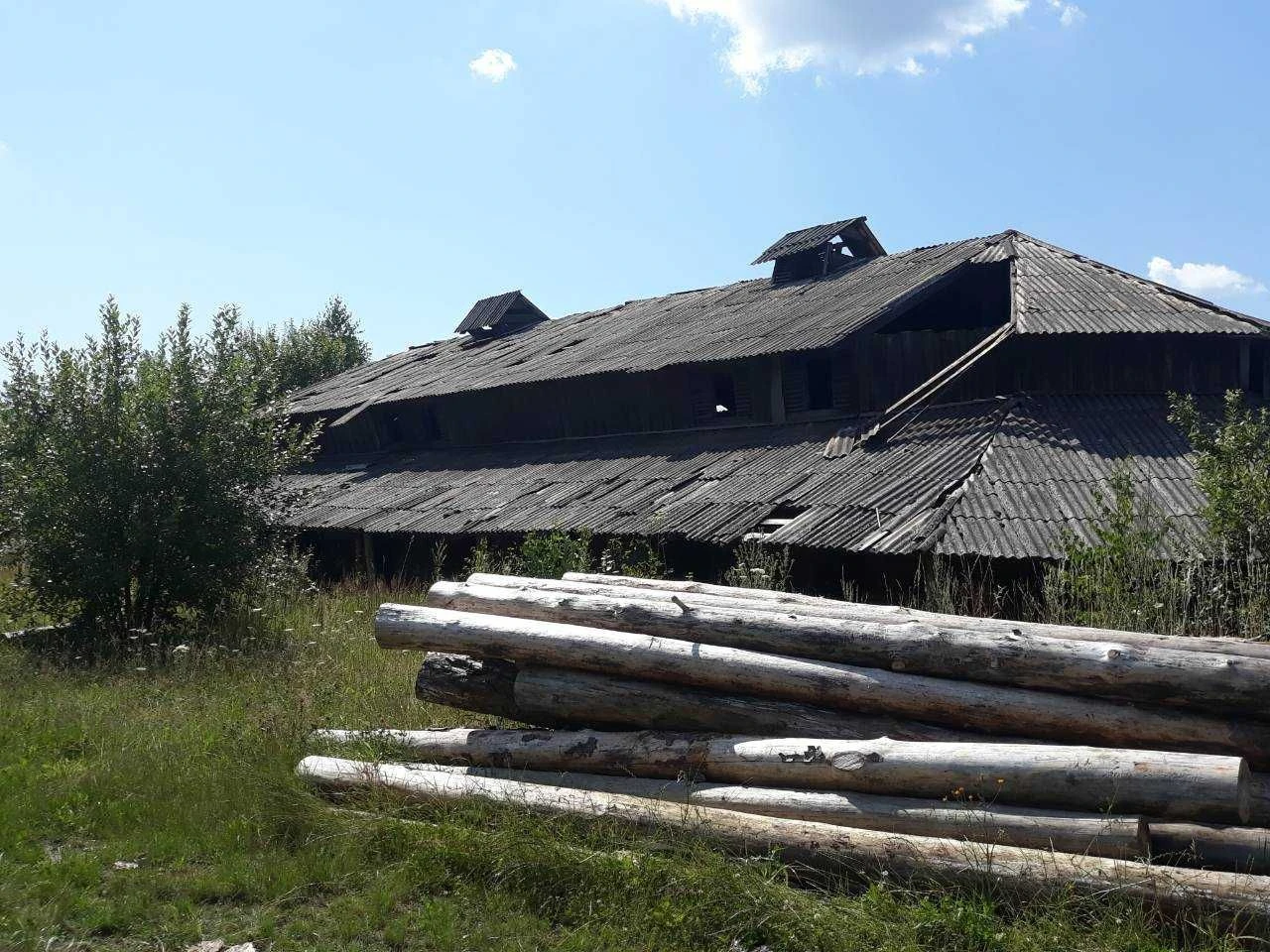 Промислова земельна ділянка 2,5 га біля Ягодина | Кордон з П