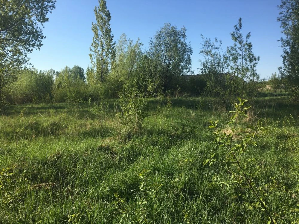 Земельна ділянка, участок 9 соток м. Любомль