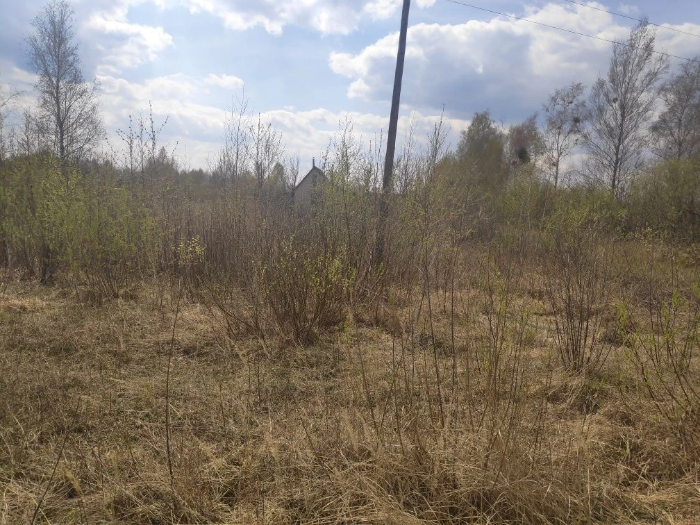 Продаж 12 соток приватизовані