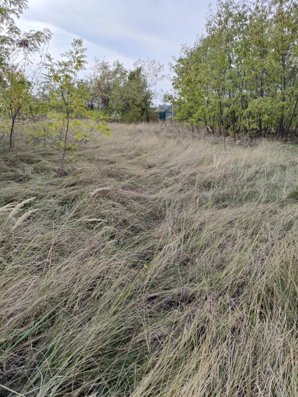 Земельна ділянка