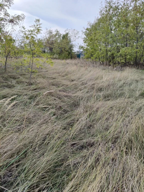 Земельна ділянка