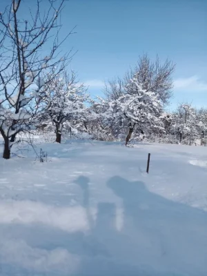 Садова ділянка 7 сот