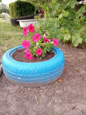Ділянка 40 соток під забудову! Центральна вода, сад, забор!