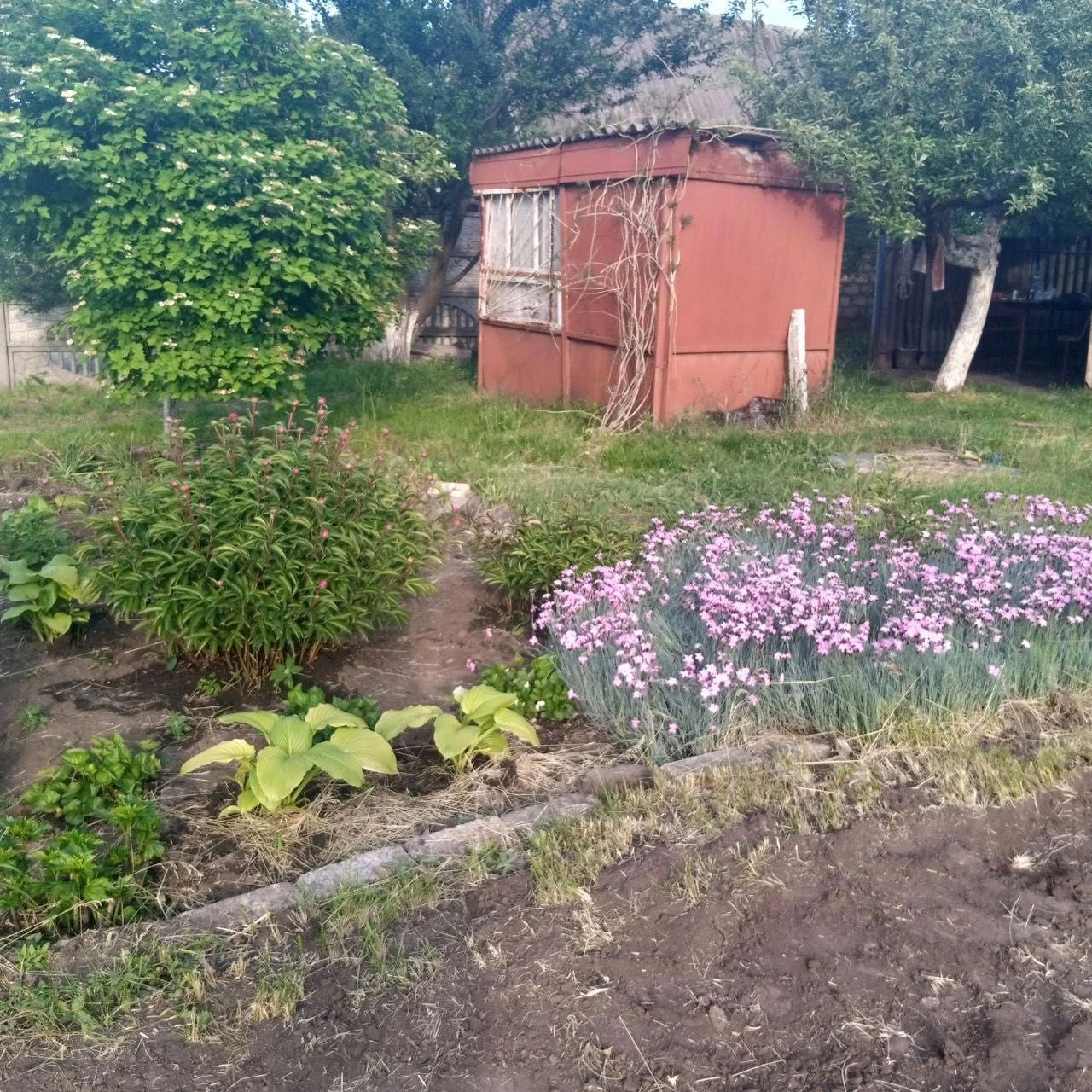 Ділянка 40 соток під забудову! Центральна вода, сад, забор!