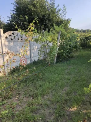 Продається дачна земельна ділянка