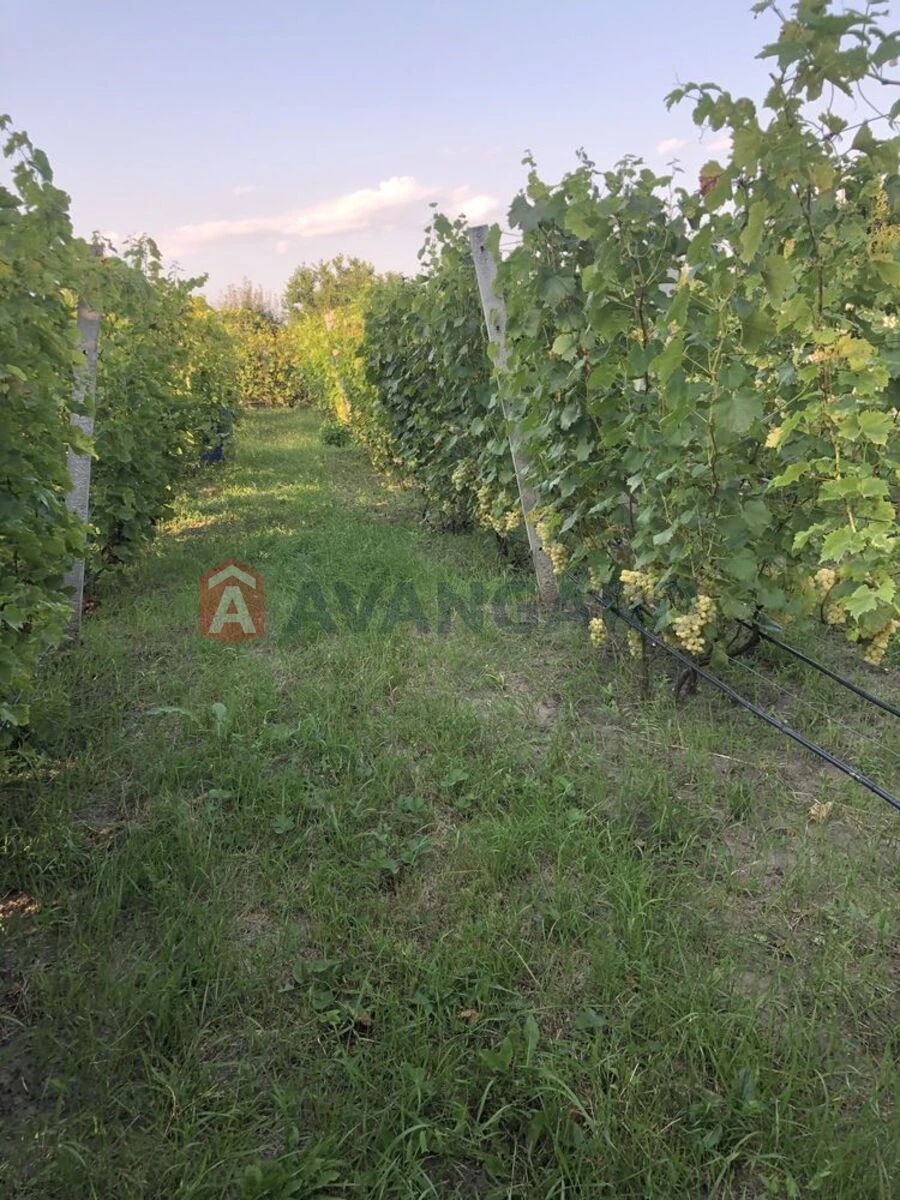 Продається дачна земельна ділянка