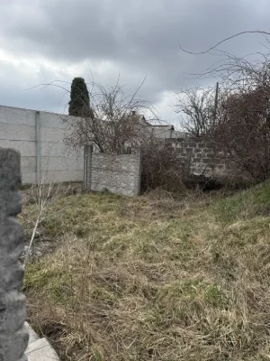Берег речки. …..