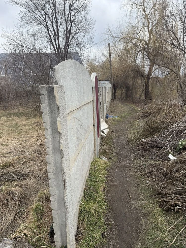Берег речки. …..