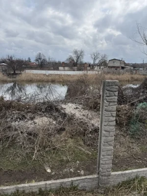 Берег речки. …..