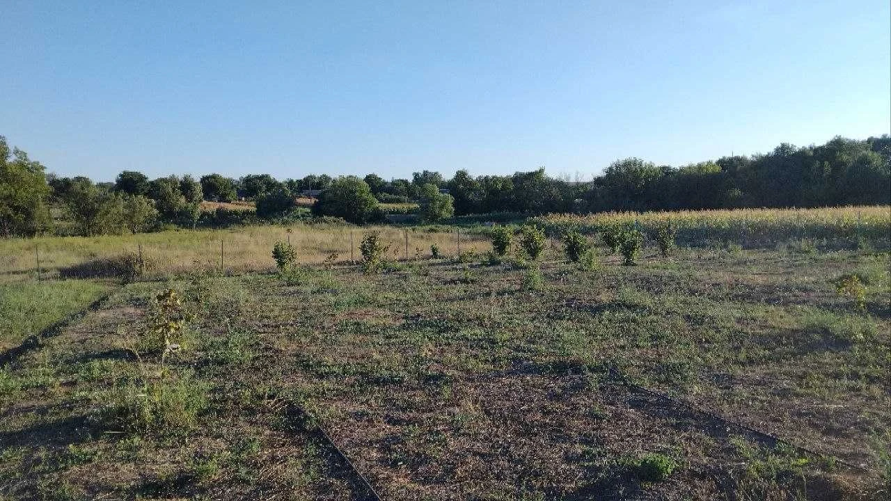 Здам в аренду земельну ділянку 1га землі з правом викупа