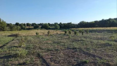 Здам в аренду земельну ділянку 1га землі з правом викупа
