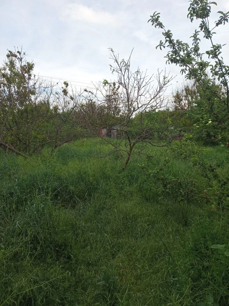 Продам дачу в ц-городском районе
