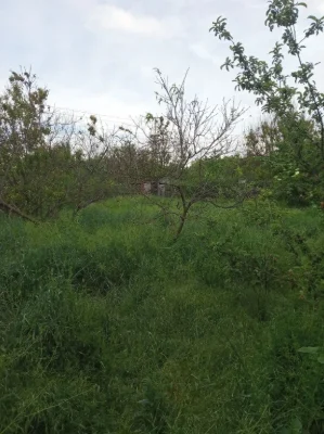 Продам дачу в ц-городском районе