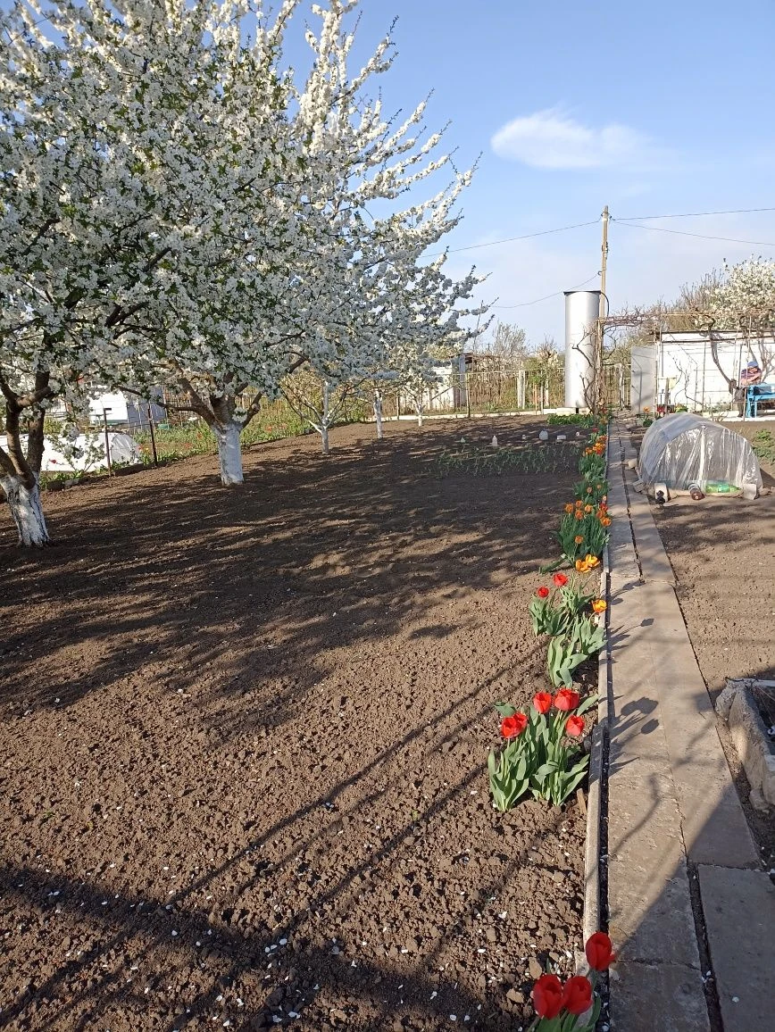 Продам дачу с/т "Курган" (за об'їздною на 5-му Зарічному м-н