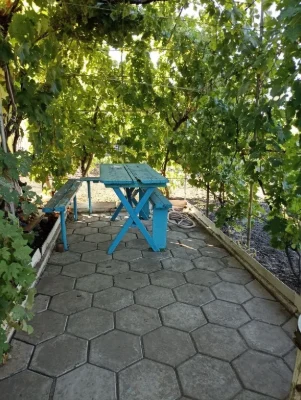 Продам дачу с/т "Курган" (за об'їздною на 5-му Зарічному м-н