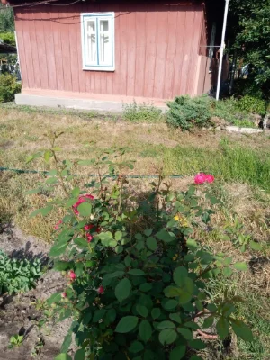Продам приватизовану земельну ділянку