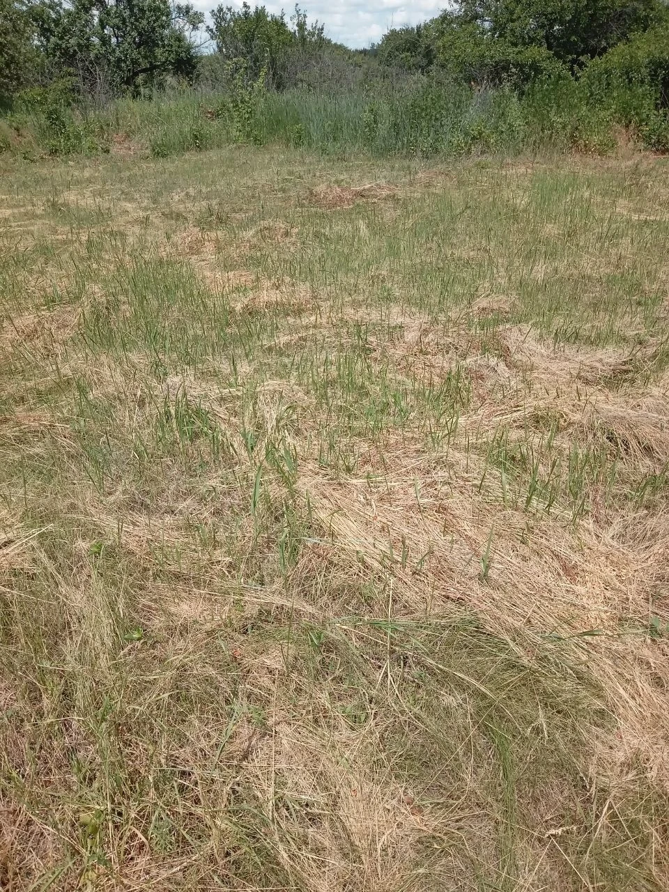 Продам участок земли