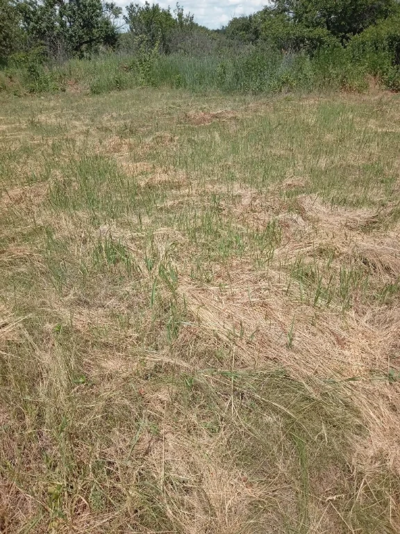 Продам участок земли