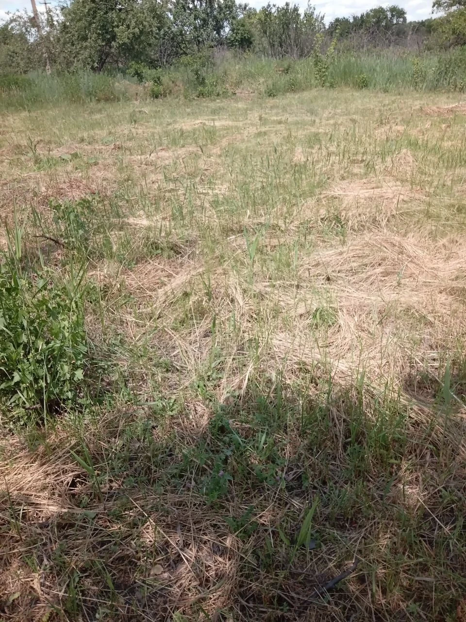 Продам участок земли