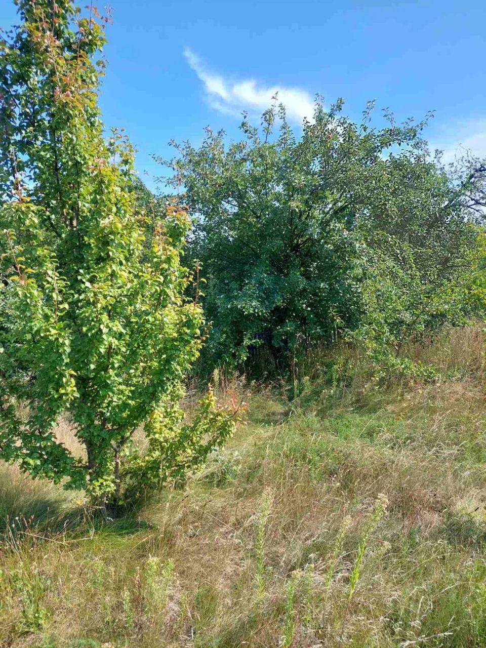 Продаж земельної ділянки м.Баранівка