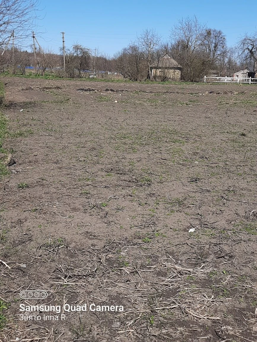 Продам земельну ділянку в центрі села Никонівка,Бердичівськи