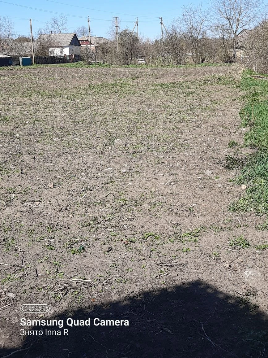 Продам земельну ділянку в центрі села Никонівка,Бердичівськи