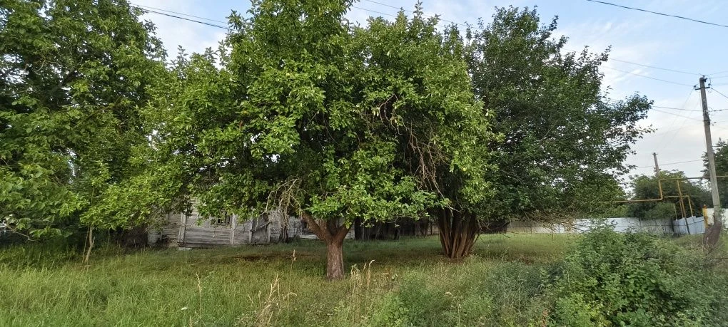 Продажа земельного участка