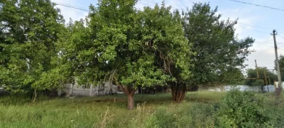 Продажа земельного участка