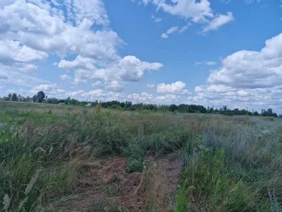 Ділянка 7,3 сот. під будівництво, Коростишів (26102839)