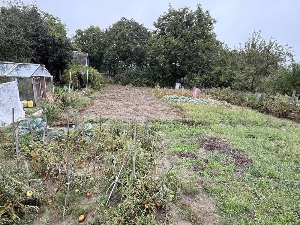 Продам дачу ветеран з колодязем