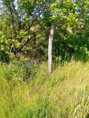 Земельну ділянку